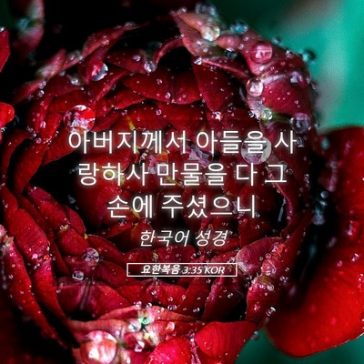 Picture 05 - 요한복음 3:35 KOR - 아버지께서 아들을 사랑하사 만물을 - Bible Verse Picture