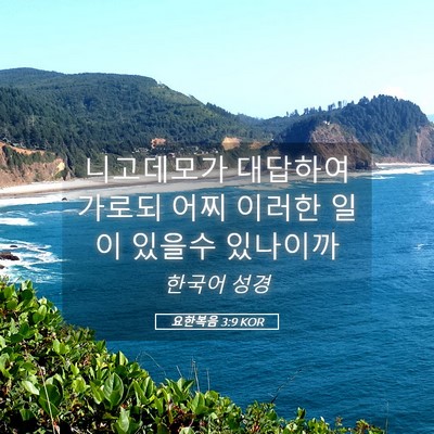 Picture 05 - 요한복음 3:9 KOR - 니고데모가 대답하여 가로되 어찌 - Bible Verse Picture
