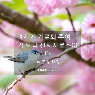 Picture 05 - 요한복음 4:19 KOR - 여자가 가로되 주여 내가 보니 - Bible Verse Picture