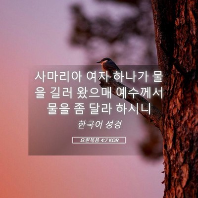Picture 05 - 요한복음 4:7 KOR - 사마리아 여자 하나가 물을 길러 - Bible Verse Picture