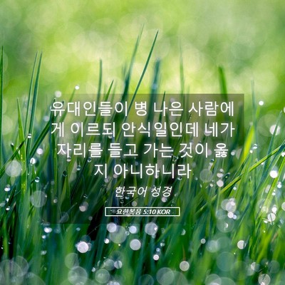 Picture 05 - 요한복음 5:10 KOR - 유대인들이 병 나은 사람에게 이르되 - Bible Verse Picture