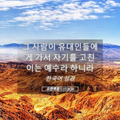 Picture 05 - 요한복음 5:15 KOR - 그 사람이 유대인들에게 가서 자기를 - Bible Verse Picture