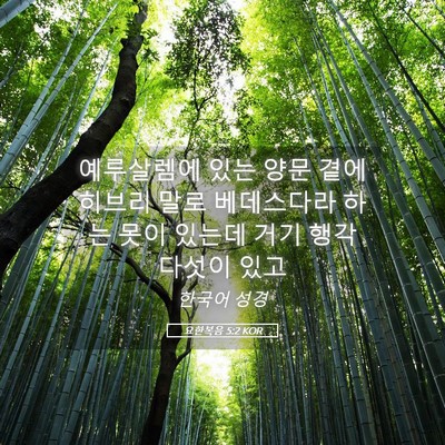 Picture 05 - 요한복음 5:2 KOR - 예루살렘에 있는 양문 곁에 히브리 - Bible Verse Picture