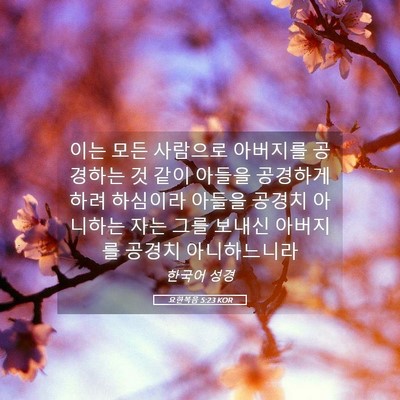 Picture 05 - 요한복음 5:23 KOR - 이는 모든 사람으로 아버지를 - Bible Verse Picture