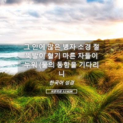 Picture 05 - 요한복음 5:3 KOR - 그 안에 많은 병자 소경 절뚝발이 - Bible Verse Picture