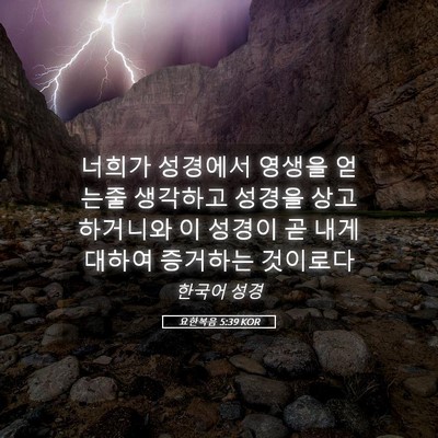 Picture 05 - 요한복음 5:39 KOR - 너희가 성경에서 영생을 얻는줄 - Bible Verse Picture
