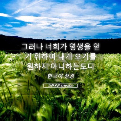 Picture 05 - 요한복음 5:40 KOR - 그러나 너희가 영생을 얻기 위하여 - Bible Verse Picture