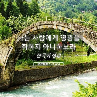 Picture 05 - 요한복음 5:41 KOR - 나는 사람에게 영광을 취하지 - Bible Verse Picture