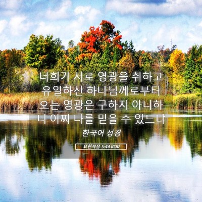 Picture 05 - 요한복음 5:44 KOR - 너희가 서로 영광을 취하고 유일하신 - Bible Verse Picture