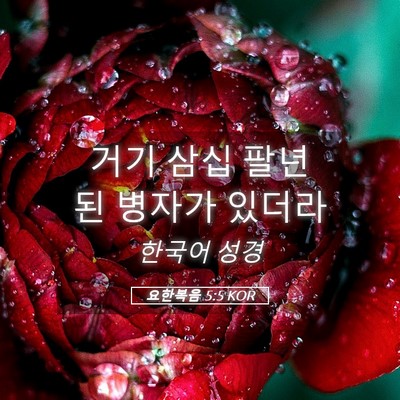 Picture 05 - 요한복음 5:5 KOR - 거기 삼십 팔년 된 병자가 - Bible Verse Picture