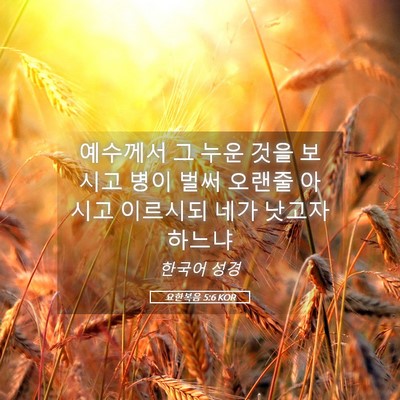 Picture 05 - 요한복음 5:6 KOR - 예수께서 그 누운 것을 보시고 병이 - Bible Verse Picture