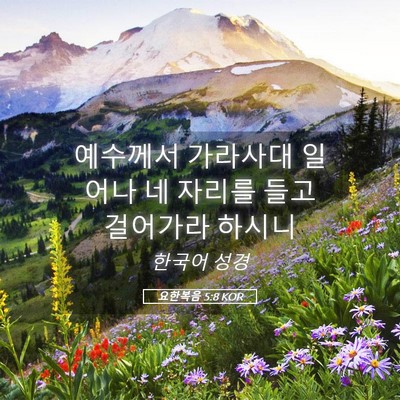 Picture 05 - 요한복음 5:8 KOR - 예수께서 가라사대 일어나 네 자리를 - Bible Verse Picture
