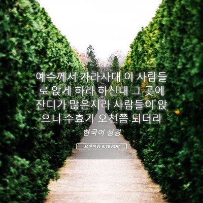 Picture 05 - 요한복음 6:10 KOR - 예수께서 가라사대 이 사람들로 앉게 - Bible Verse Picture