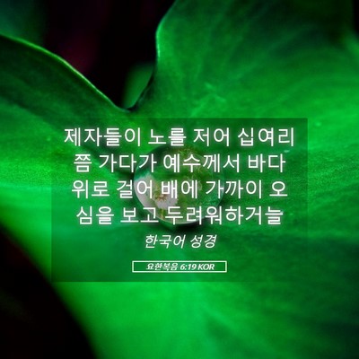 Picture 05 - 요한복음 6:19 KOR - 제자들이 노를 저어 십여리쯤 가다가 - Bible Verse Picture