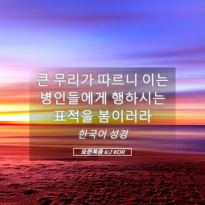 Picture 05 - 요한복음 6:2 KOR - 큰 무리가 따르니 이는 병인들에게 - Bible Verse Picture