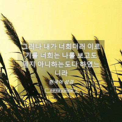 Picture 05 - 요한복음 6:36 KOR - 그러나 내가 너희더러 이르기를 - Bible Verse Picture