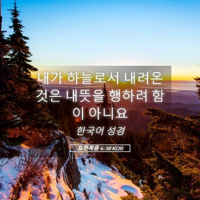 Picture 05 - 요한복음 6:38 KOR - 내가 하늘로서 내려온 것은 내뜻을 - Bible Verse Picture