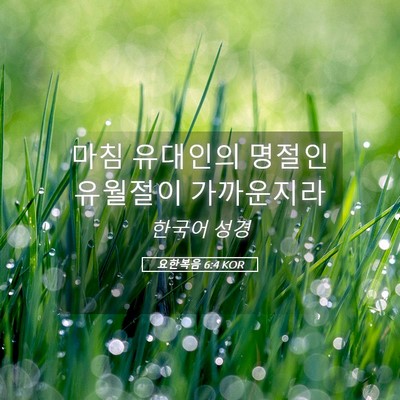 Picture 05 - 요한복음 6:4 KOR - 마침 유대인의 명절인 유월절이 - Bible Verse Picture