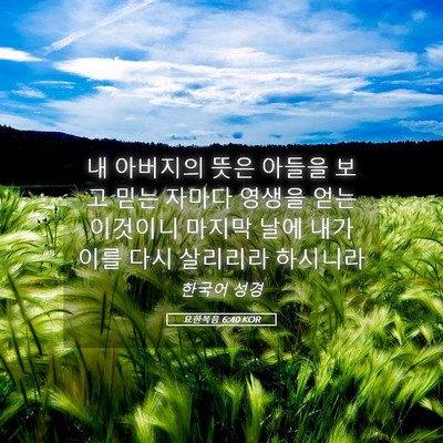 Picture 05 - 요한복음 6:40 KOR - 내 아버지의 뜻은 아들을 보고 믿는 - Bible Verse Picture
