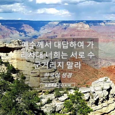 Picture 05 - 요한복음 6:43 KOR - 예수께서 대답하여 가라사대 너희는 - Bible Verse Picture