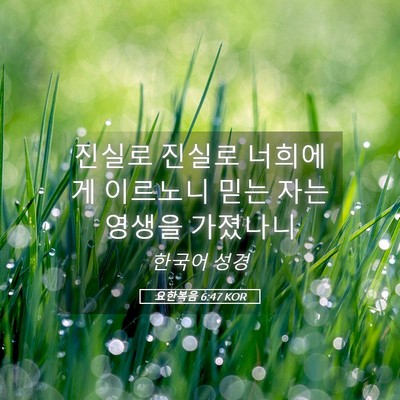 Picture 05 - 요한복음 6:47 KOR - 진실로 진실로 너희에게 이르노니 - Bible Verse Picture
