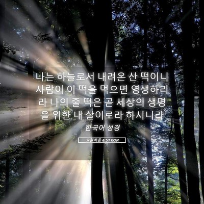 Picture 05 - 요한복음 6:51 KOR - 나는 하늘로서 내려온 산 떡이니 - Bible Verse Picture