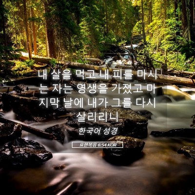 Picture 05 - 요한복음 6:54 KOR - 내 살을 먹고 내 피를 마시는 자는 - Bible Verse Picture