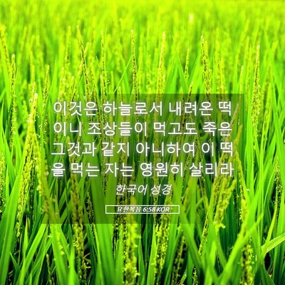 Picture 05 - 요한복음 6:58 KOR - 이것은 하늘로서 내려온 떡이니 - Bible Verse Picture