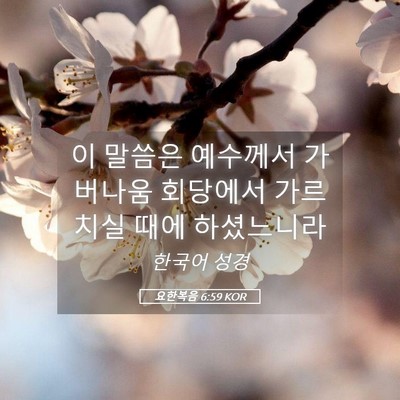 Picture 05 - 요한복음 6:59 KOR - 이 말씀은 예수께서 가버나움 - Bible Verse Picture