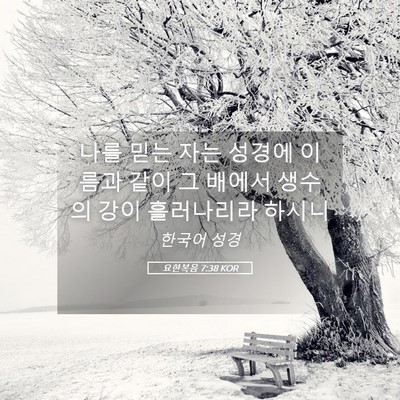 Picture 05 - 요한복음 7:38 KOR - 나를 믿는 자는 성경에 이름과 같이 - Bible Verse Picture