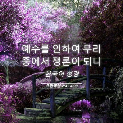 Picture 05 - 요한복음 7:43 KOR - 예수를 인하여 무리 중에서 쟁론이 - Bible Verse Picture