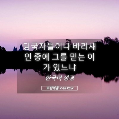 Picture 05 - 요한복음 7:48 KOR - 당국자들이나 바리새인 중에 그를 - Bible Verse Picture