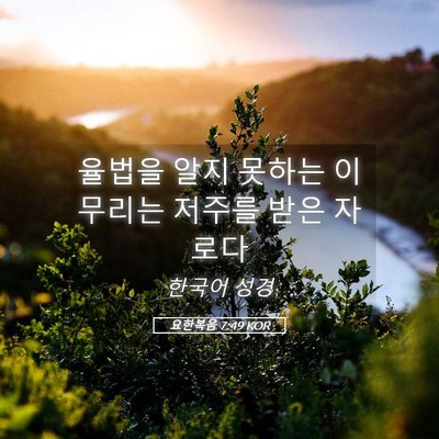Picture 05 - 요한복음 7:49 KOR - 율법을 알지 못하는 이 무리는 - Bible Verse Picture