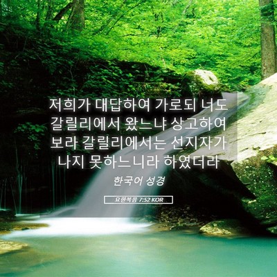 Picture 05 - 요한복음 7:52 KOR - 저희가 대답하여 가로되 너도 - Bible Verse Picture