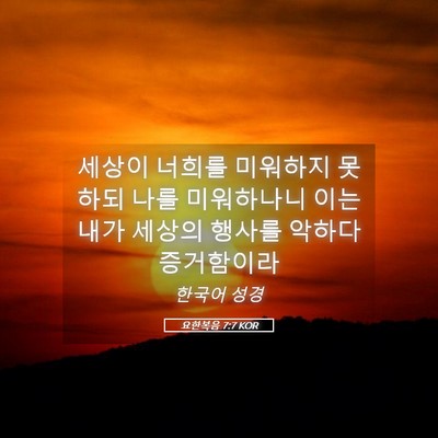 Picture 05 - 요한복음 7:7 KOR - 세상이 너희를 미워하지 못하되 나를 - Bible Verse Picture