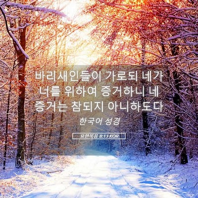 Picture 05 - 요한복음 8:13 KOR - 바리새인들이 가로되 네가 너를 - Bible Verse Picture