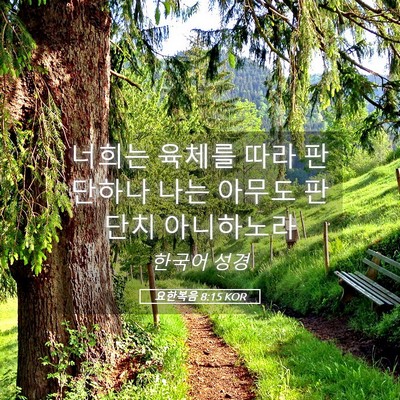 Picture 05 - 요한복음 8:15 KOR - 너희는 육체를 따라 판단하나 나는 - Bible Verse Picture