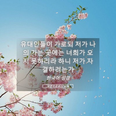 Picture 05 - 요한복음 8:22 KOR - 유대인들이 가로되 저가 나의 가는 - Bible Verse Picture