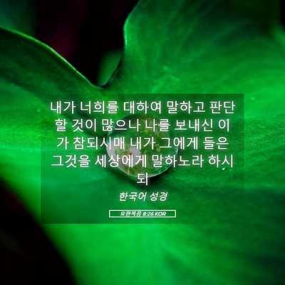Picture 05 - 요한복음 8:26 KOR - 내가 너희를 대하여 말하고 판단할 - Bible Verse Picture