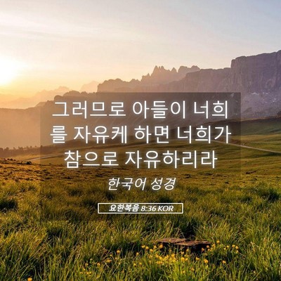 Picture 05 - 요한복음 8:36 KOR - 그러므로 아들이 너희를 자유케 하면 - Bible Verse Picture