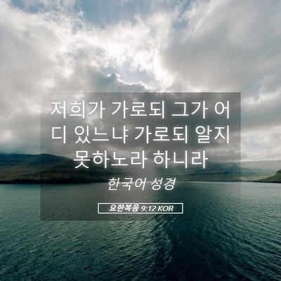 Picture 05 - 요한복음 9:12 KOR - 저희가 가로되 그가 어디 있느냐 - Bible Verse Picture