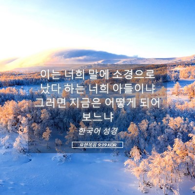 Picture 05 - 요한복음 9:19 KOR - 이는 너희 말에 소경으로 났다 하는 - Bible Verse Picture