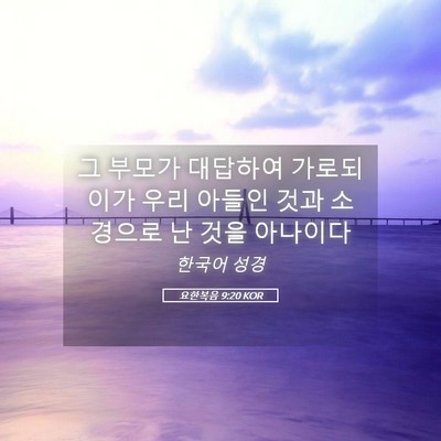 Picture 05 - 요한복음 9:20 KOR - 그 부모가 대답하여 가로되 이가 - Bible Verse Picture