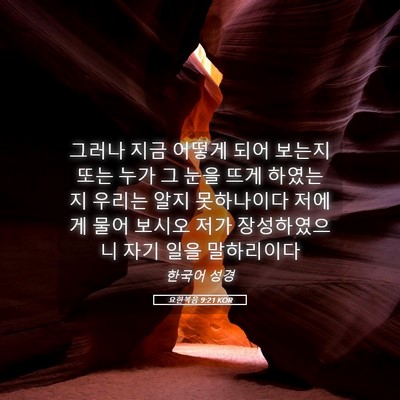 Picture 05 - 요한복음 9:21 KOR - 그러나 지금 어떻게 되어 보는지 - Bible Verse Picture