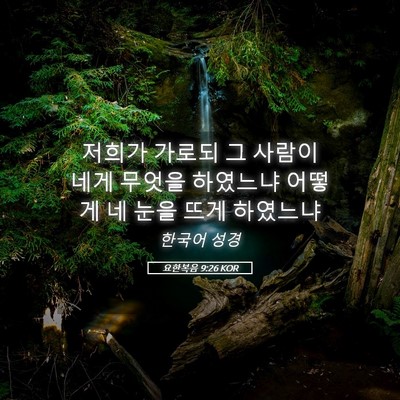Picture 05 - 요한복음 9:26 KOR - 저희가 가로되 그 사람이 네게 - Bible Verse Picture