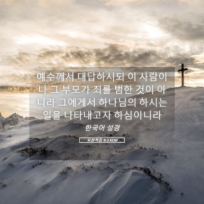 Picture 05 - 요한복음 9:3 KOR - 예수께서 대답하시되 이 사람이나 그 - Bible Verse Picture