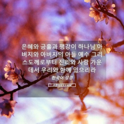 Picture 05 - 요한이서 1:3 KOR - 은혜와 긍휼과 평강이 하나님 - Bible Verse Picture