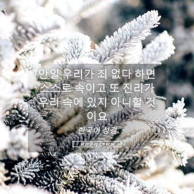 Picture 05 - 요한일서 1:8 KOR - 만일 우리가 죄 없다 하면 스스로 - Bible Verse Picture