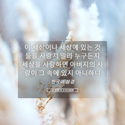 Picture 05 - 요한일서 2:15 KOR - 이 세상이나 세상에 있는 것들을 - Bible Verse Picture