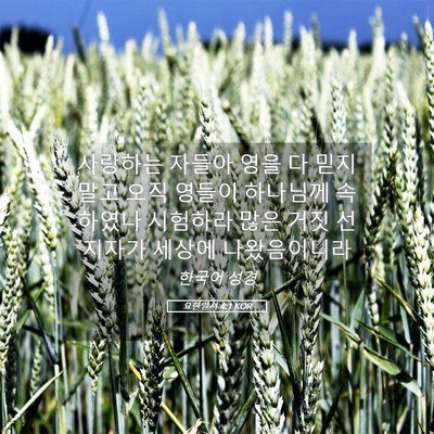 Picture 05 - 요한일서 4:1 KOR - 사랑하는 자들아 영을 다 믿지 말고 - Bible Verse Picture